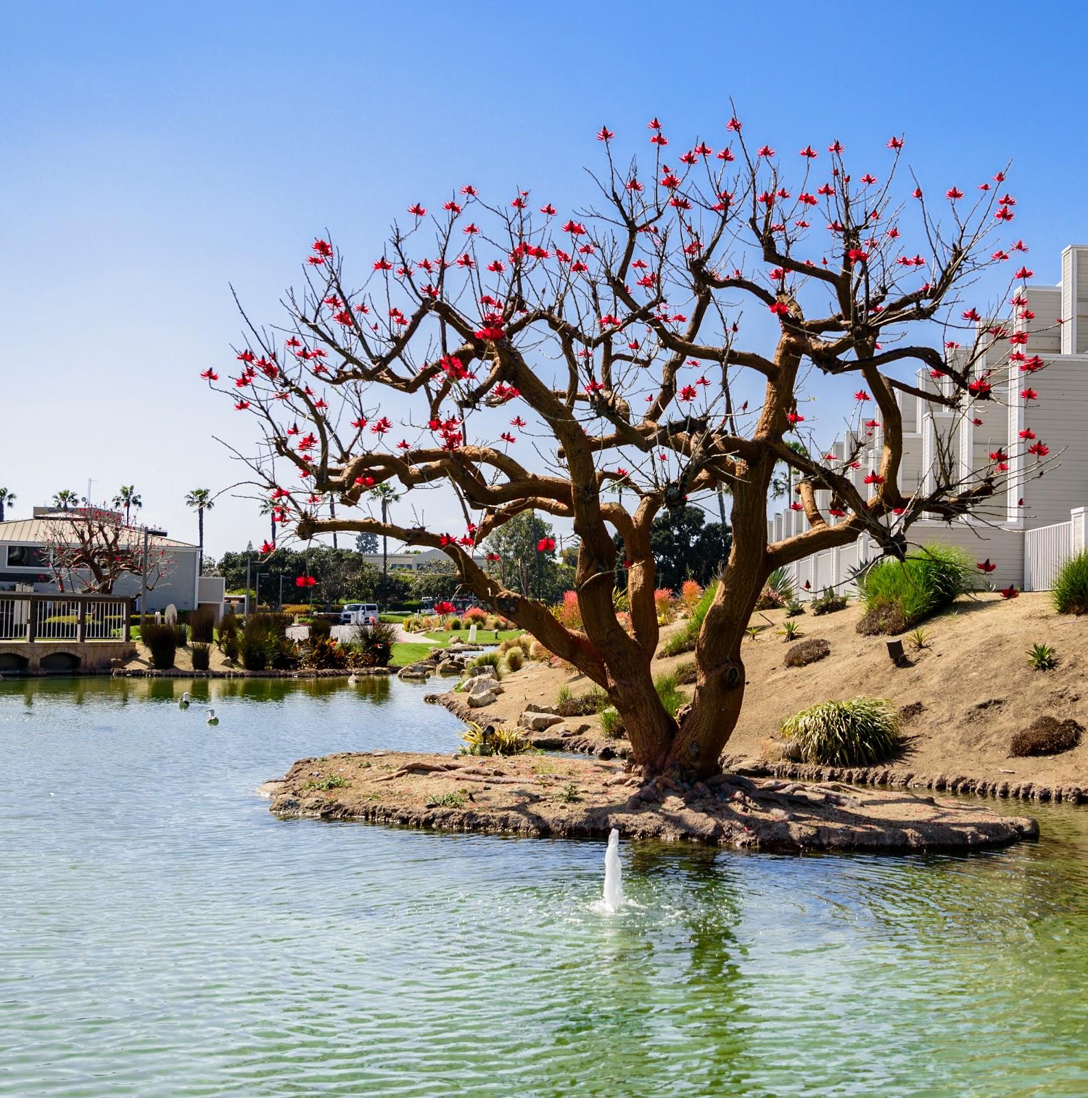 Sandee - Coronado Tidelands Park