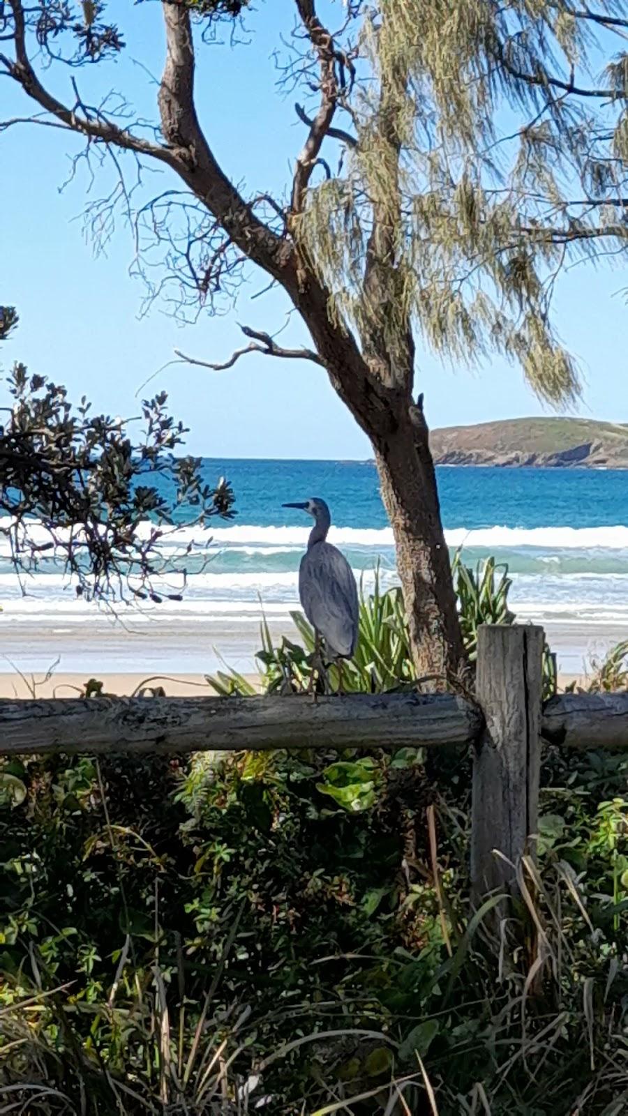 Sandee Sandy Beach Photo