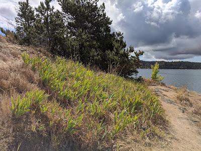 Sandee - Blind Island State Park