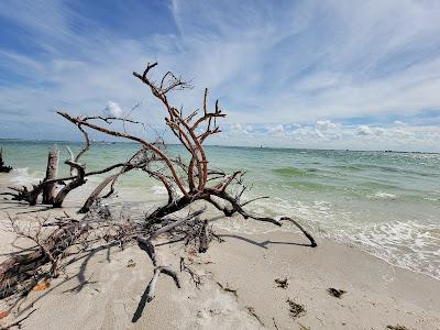 Sandee - Sanibel Lighthouse Beach