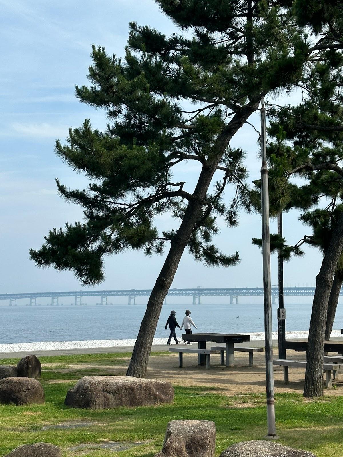 Sandee Tajiri Coast Photo