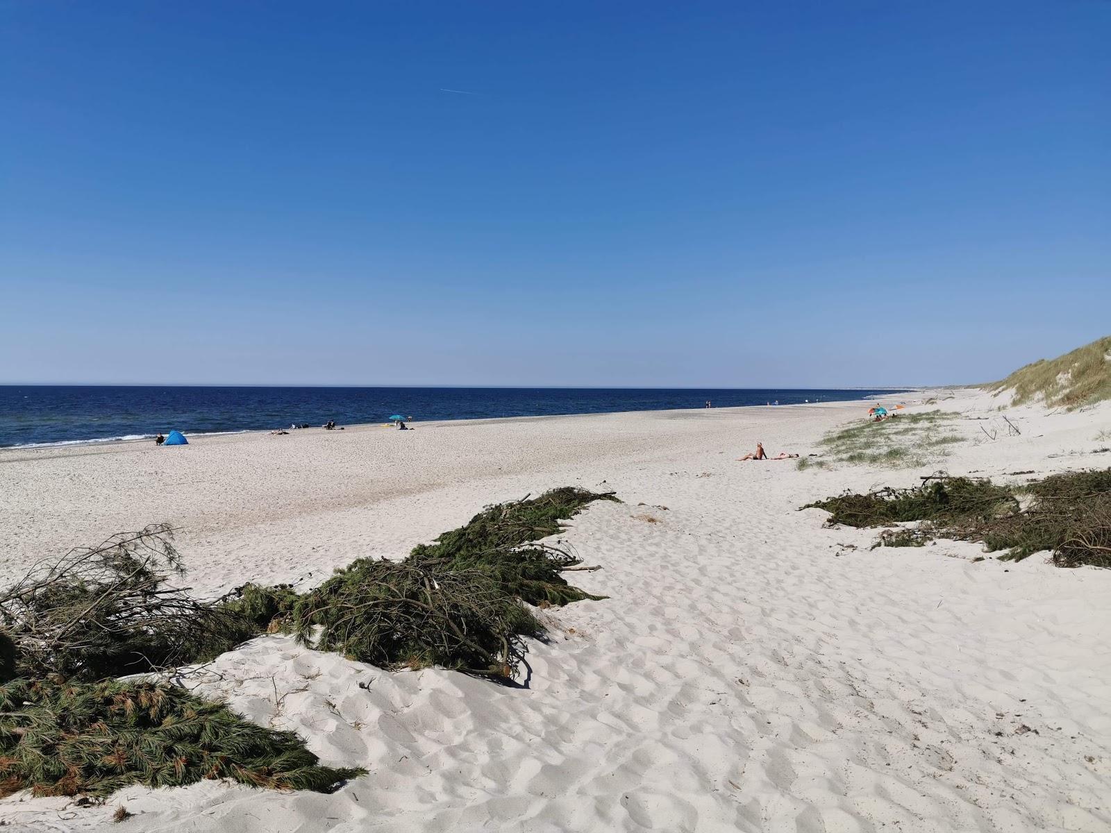Sandee Sidselbjerg Strand