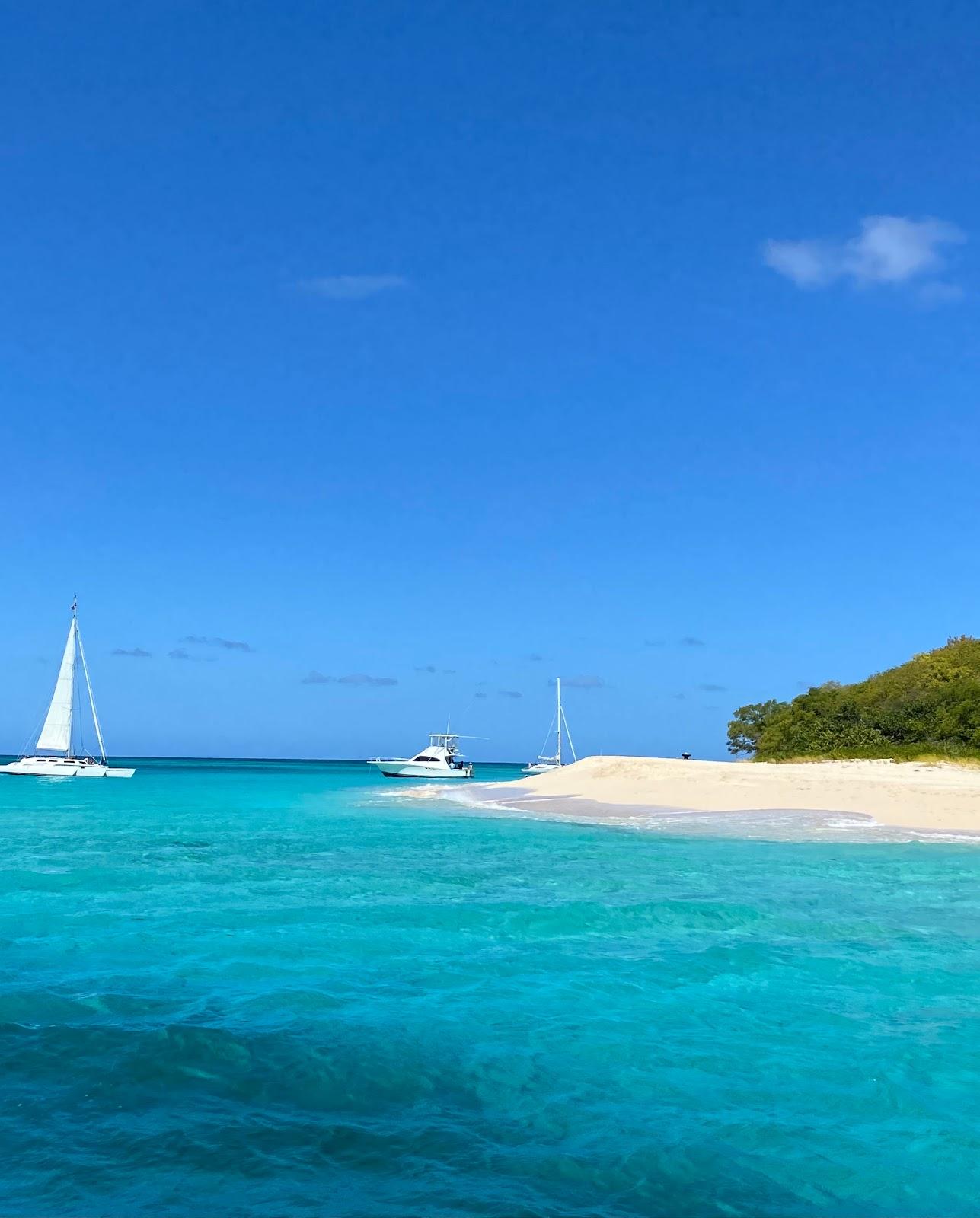 Sandee - Buck Island National Park