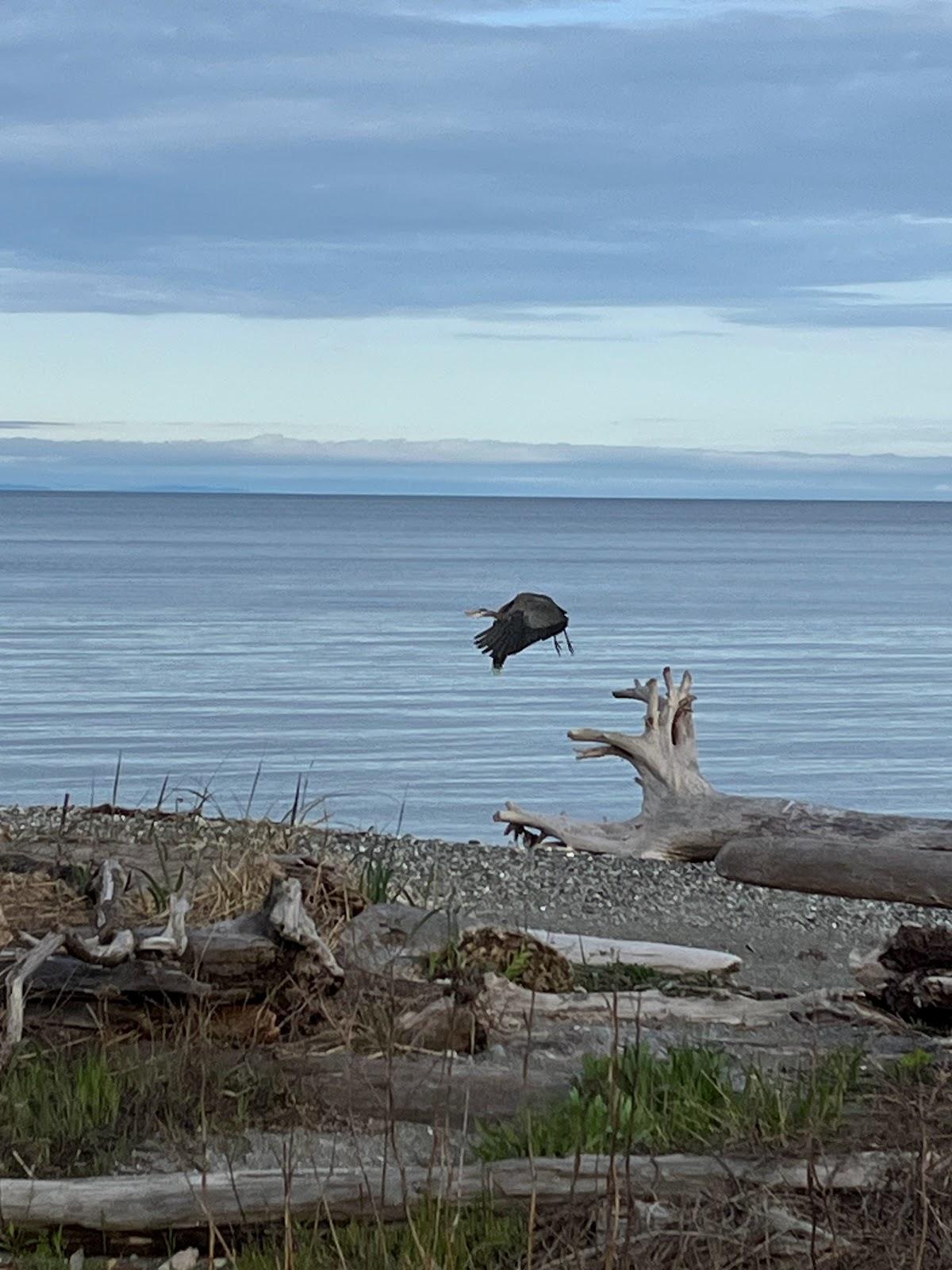 Sandee - Birch Bay State Park