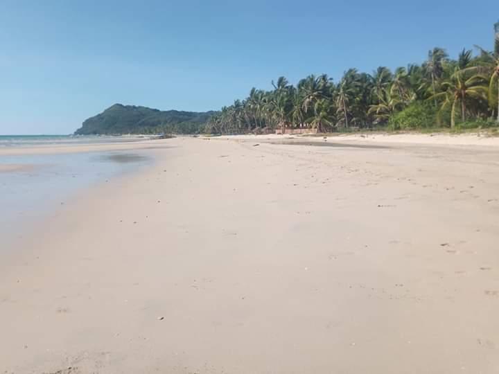 Sandee Tito A's Place