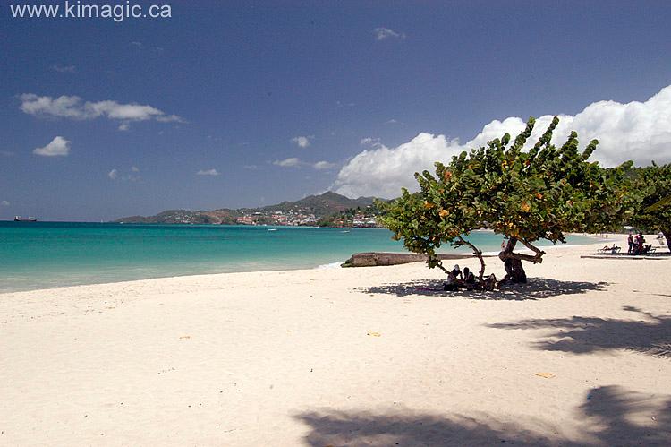 Sandee Grand I Anse Bay