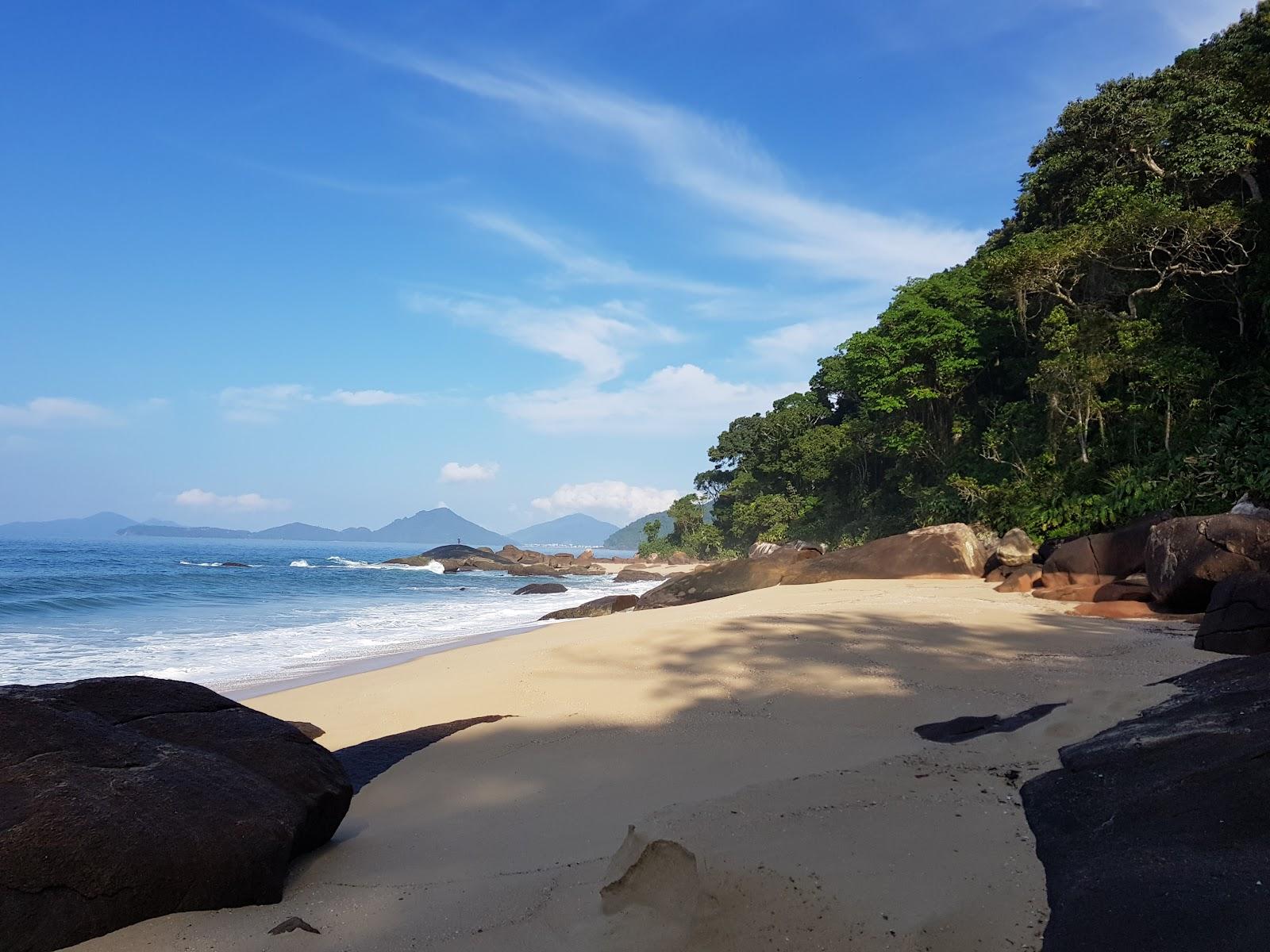 Sandee Praia Brava De Itamambuca
