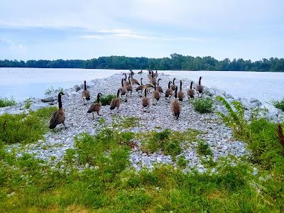 Sandee - Crab Orchard Beach