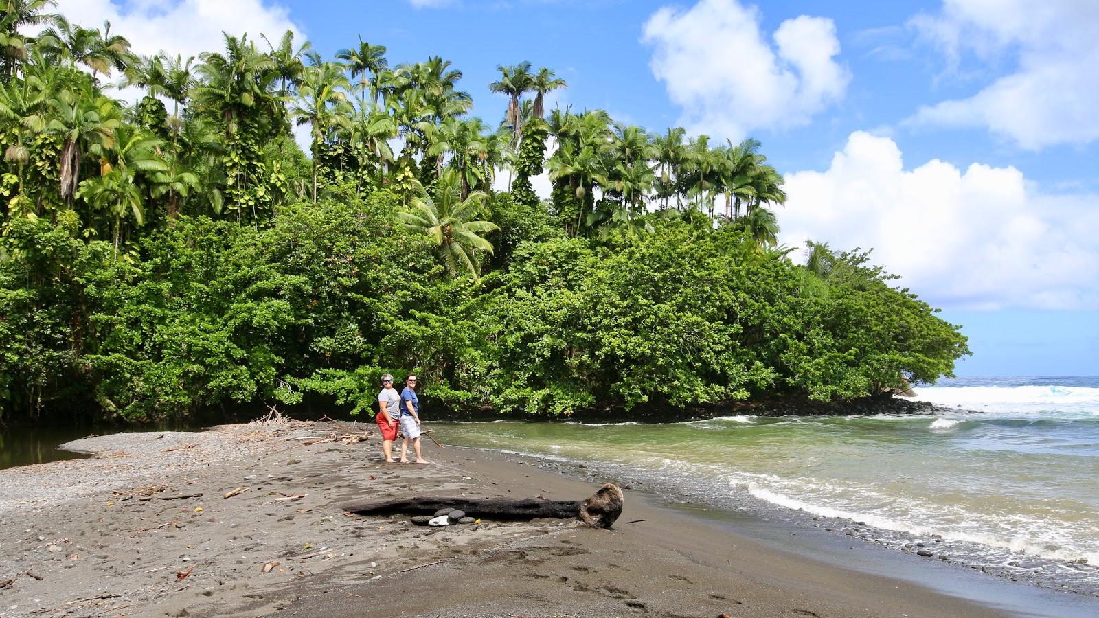 Sandee - Honoli'I Beach Park