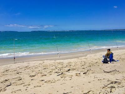 Sandee - Lady Robinsons Beach