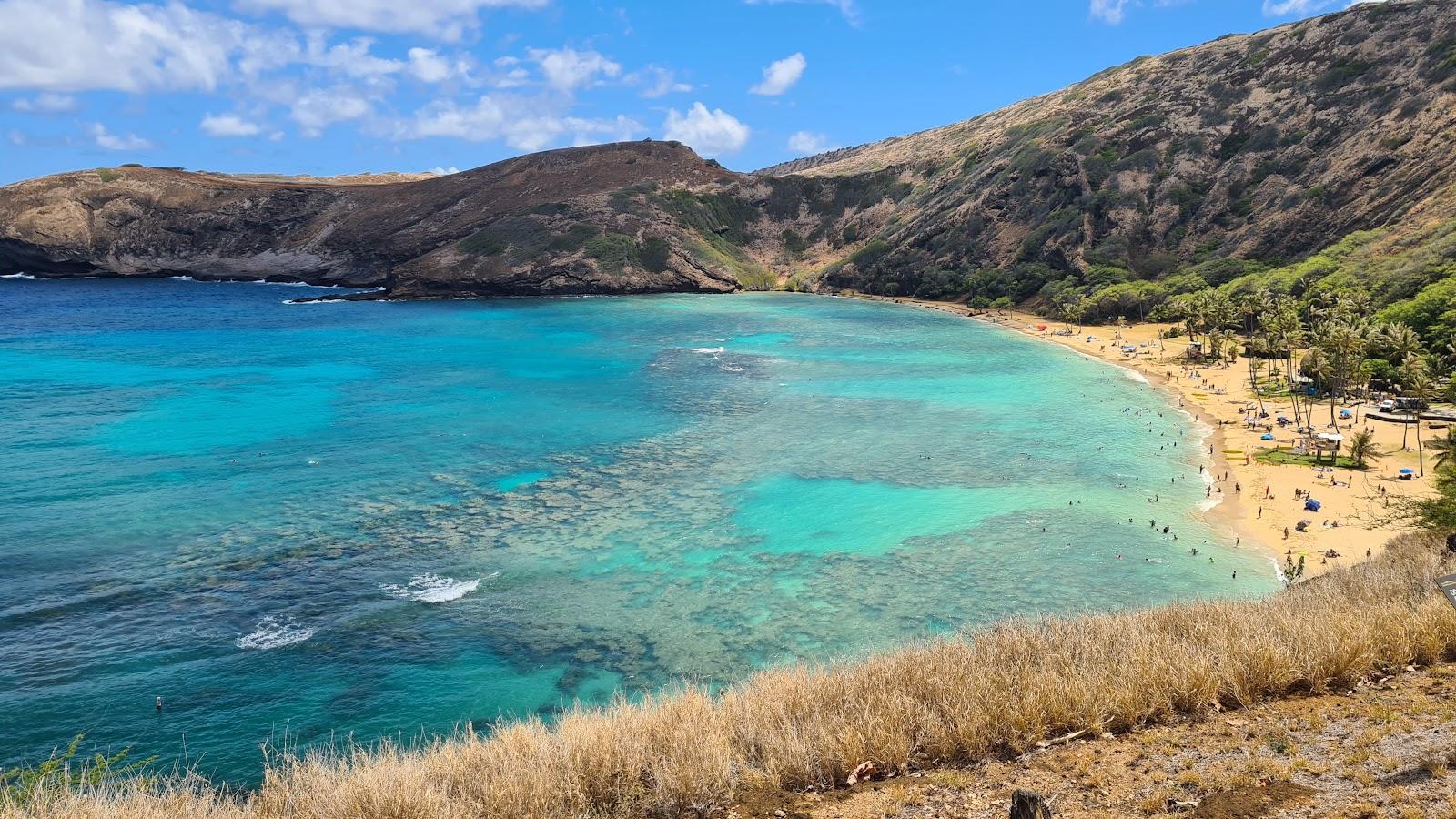 Sandee Kalama Beach Park Photo