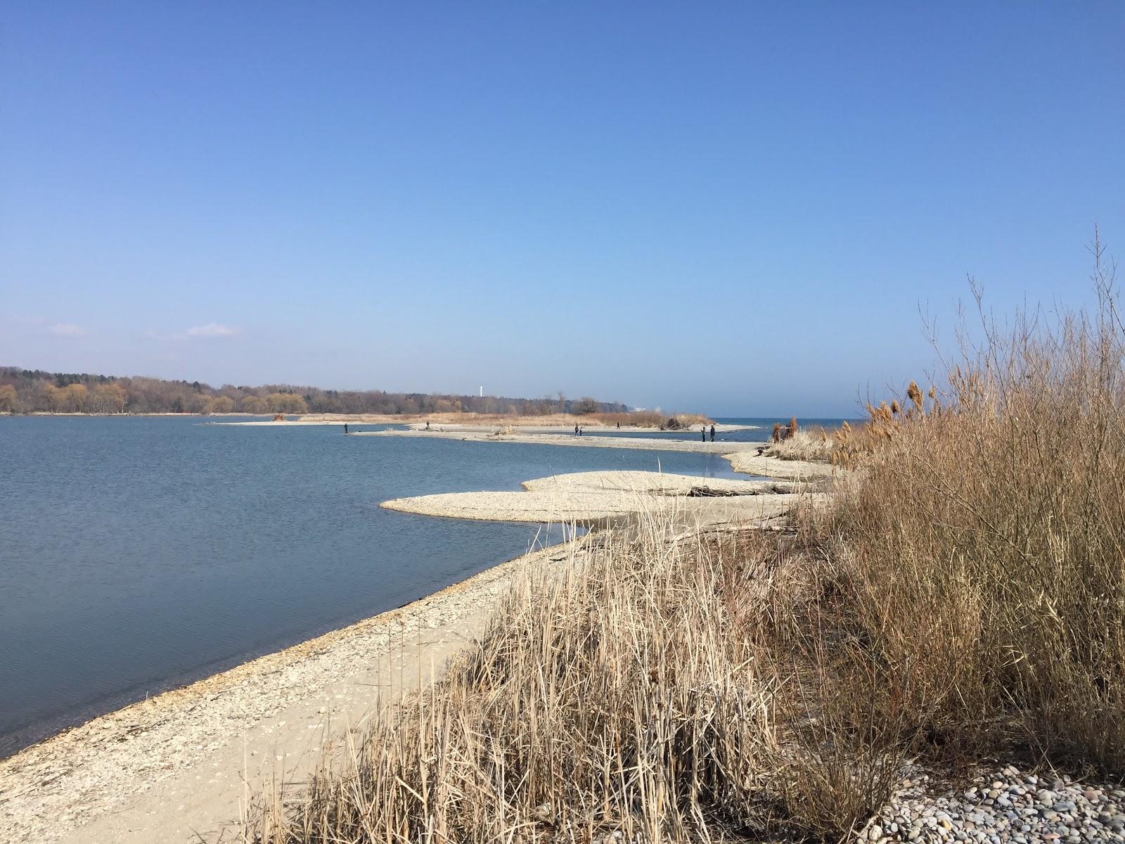 Sandee Mclaughlin Bay Wildlife Reserve