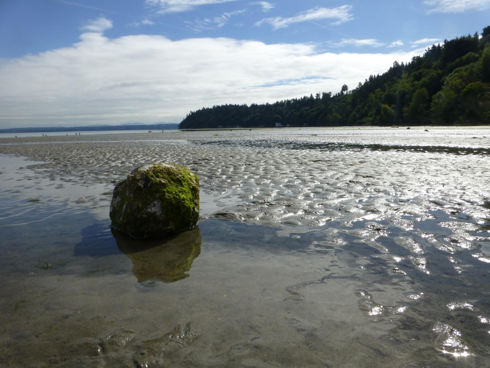 Sandee - Dash Point Beach