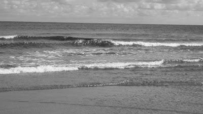 Sandee - Sheep Pond Beach