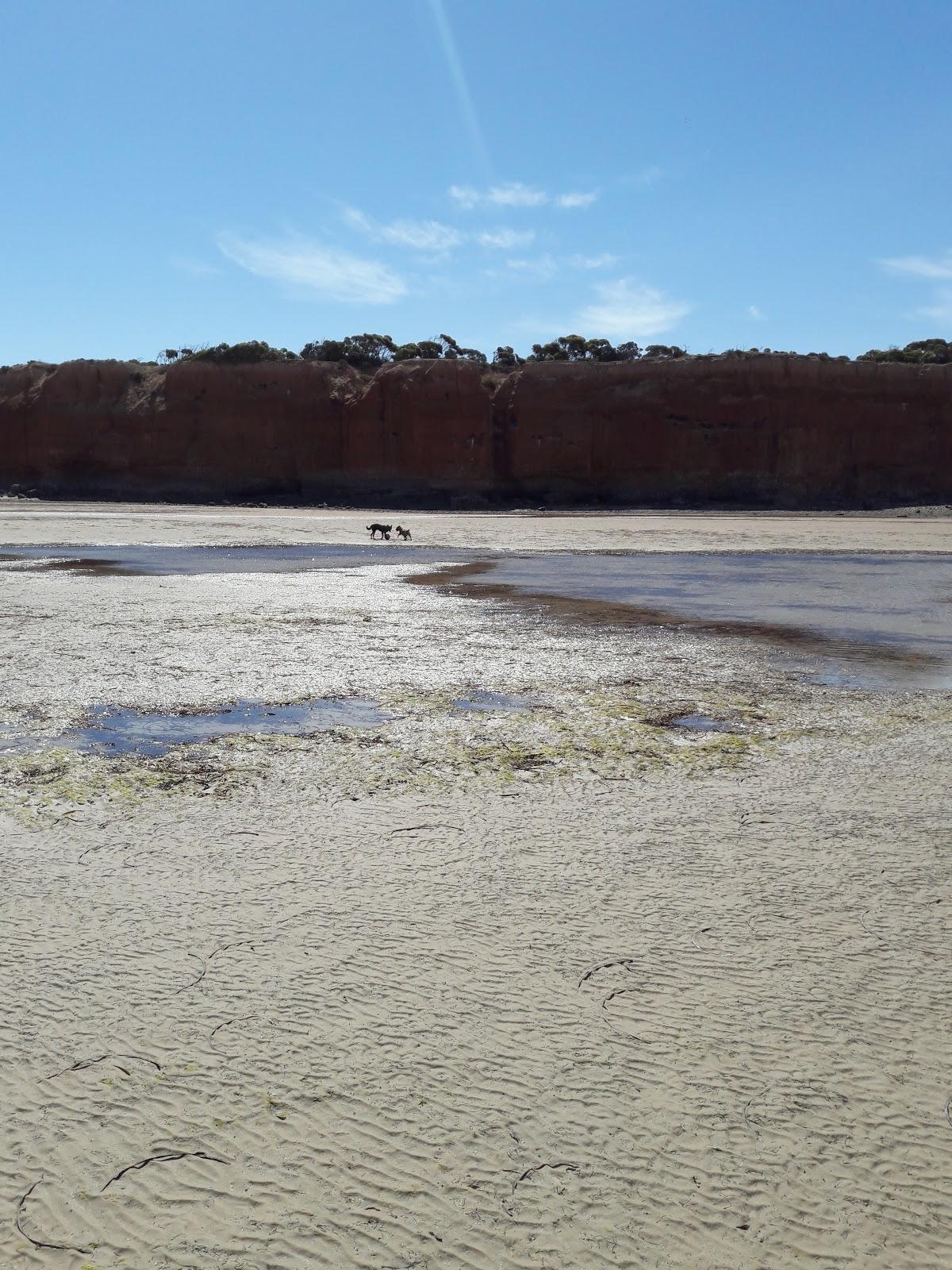 Sandee Tiddy Widdy Beach Photo