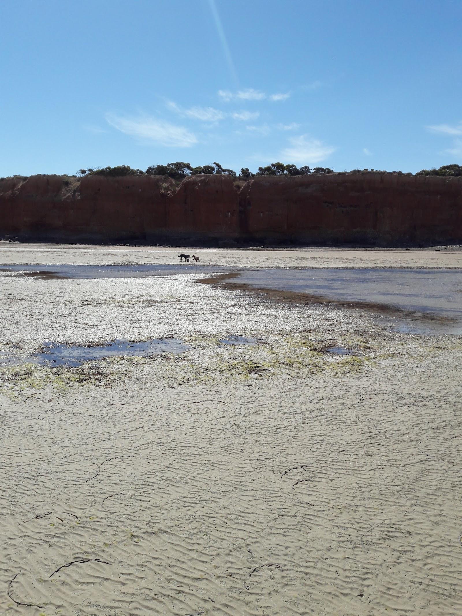 Tiddy Widdy Beach Photo - Sandee