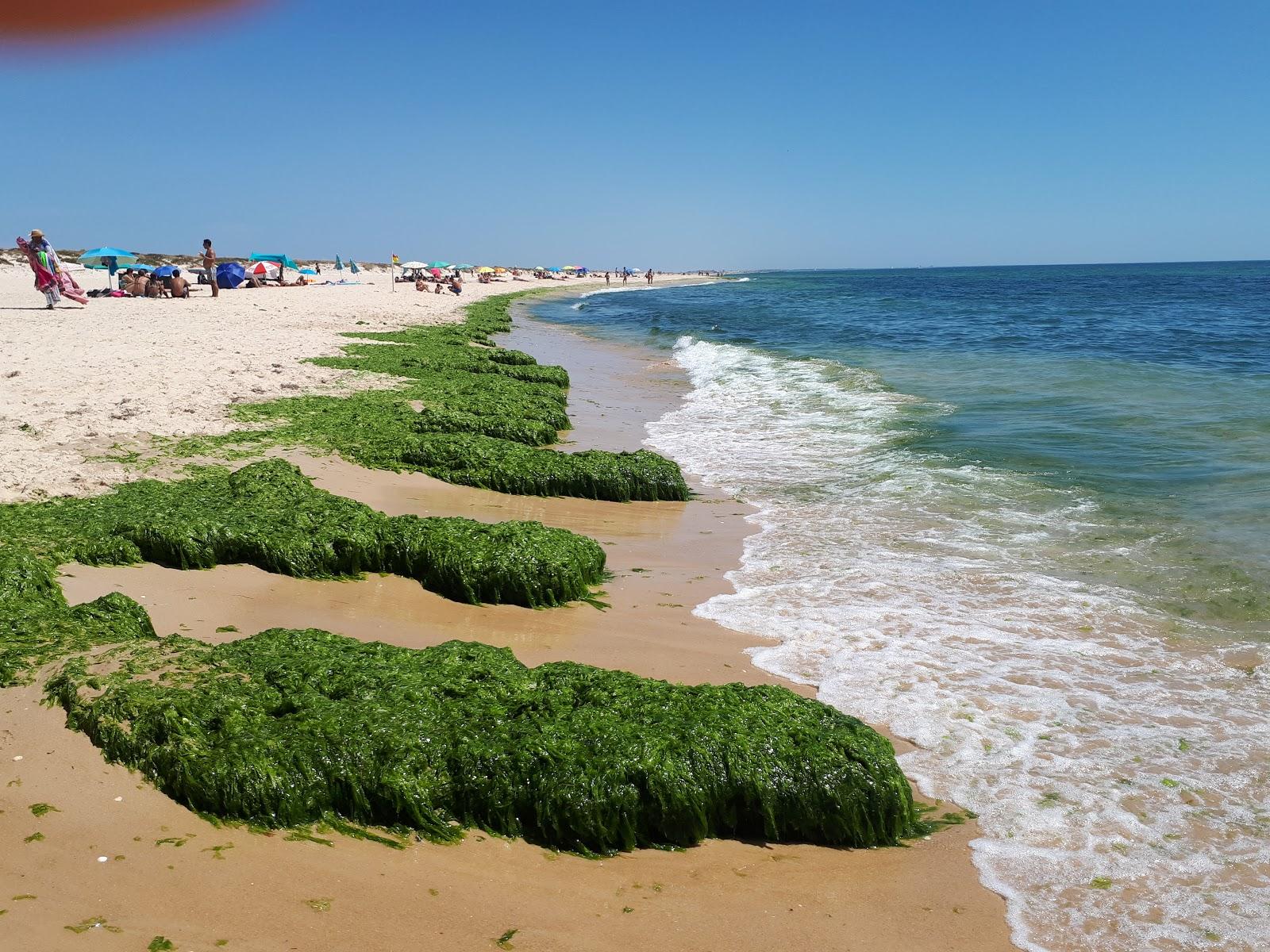 Sandee Praia Da Terra Estreita