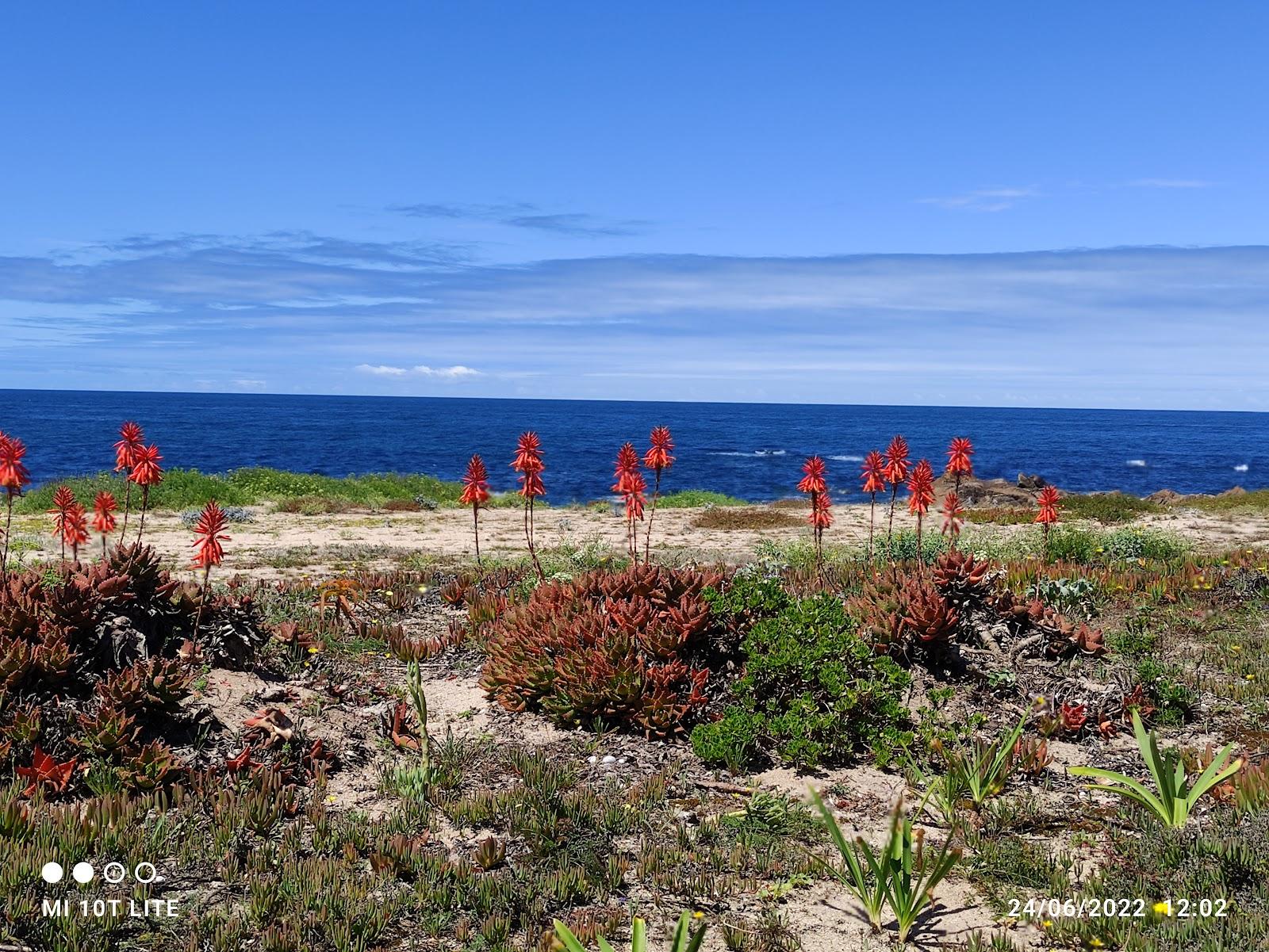 Sandee - Praia Da Agucadoura