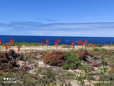 Sandee - Praia Da Agucadoura