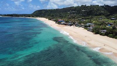 Sandee - Banzai Pipeline