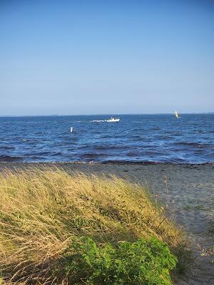 Sandee - Sayville Marina Park