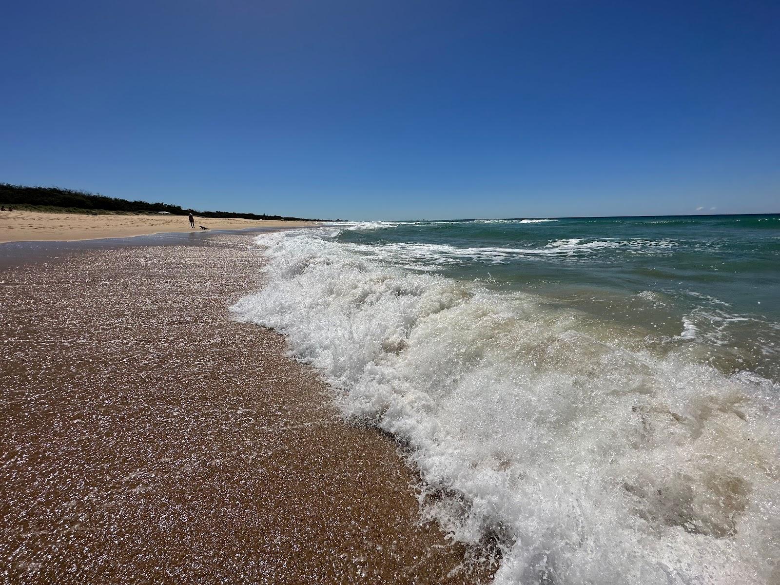 Sandee Dog Friendly Beach Access 226-247
