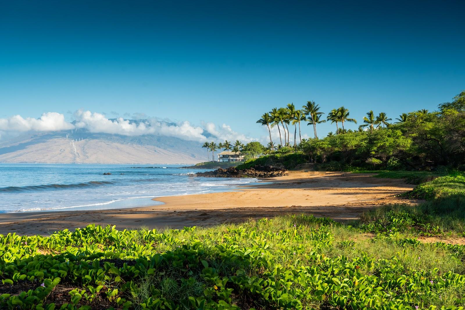 Sandee - Po'Olenalena Beach