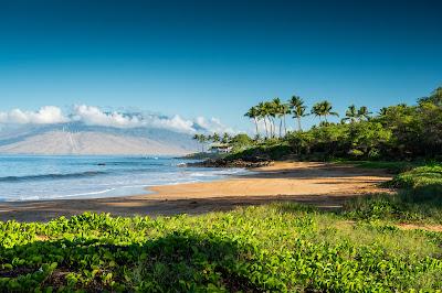 Sandee - Po'Olenalena Beach