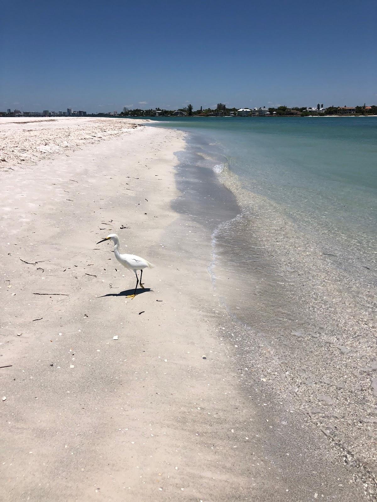 Sandee - North Lido Beach