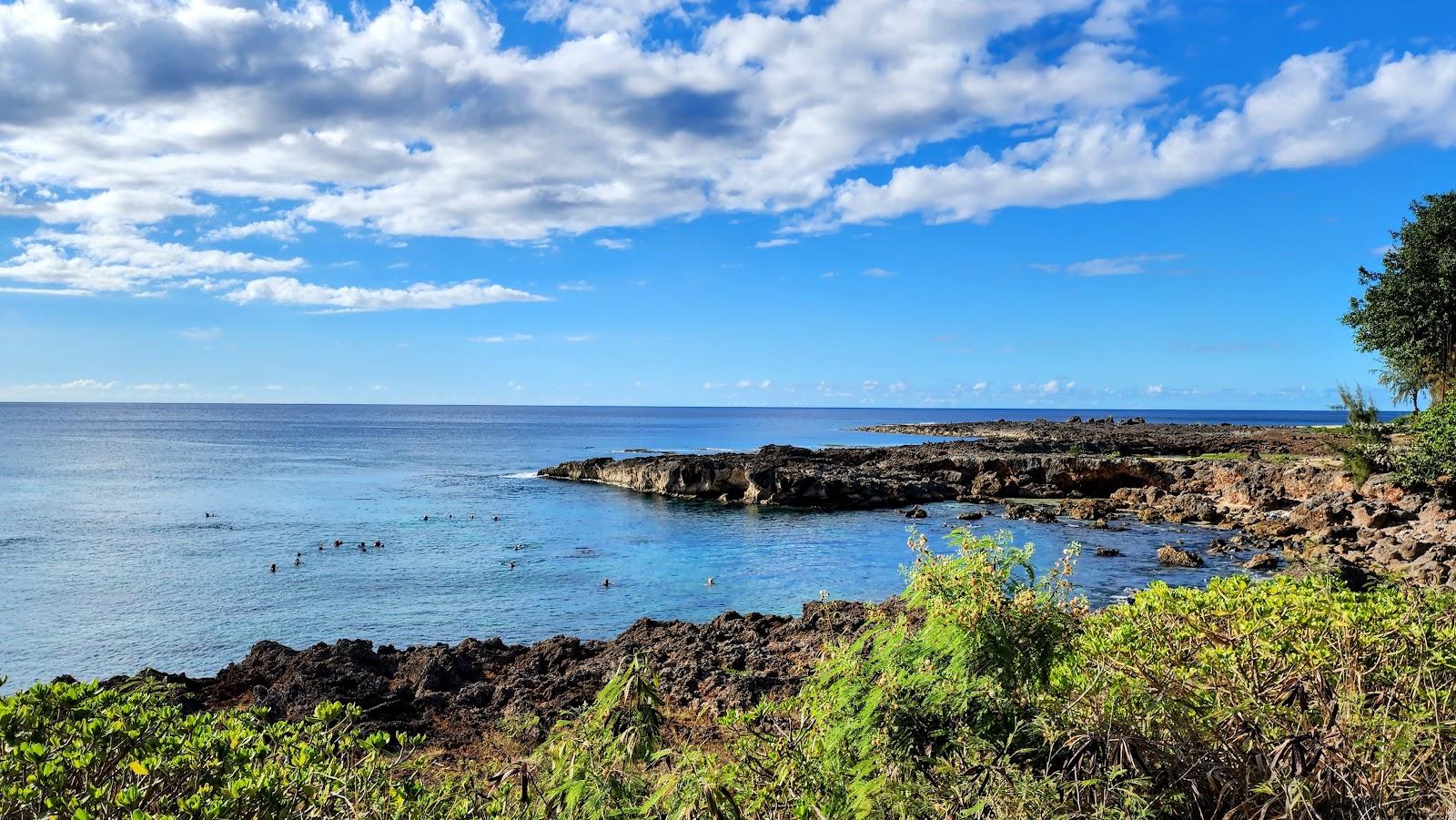 Sandee - Shark's Cove Beach