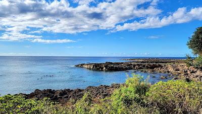 Sandee - Shark's Cove Beach