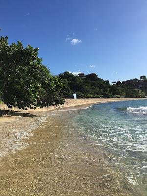 Sandee - Magazine Beach