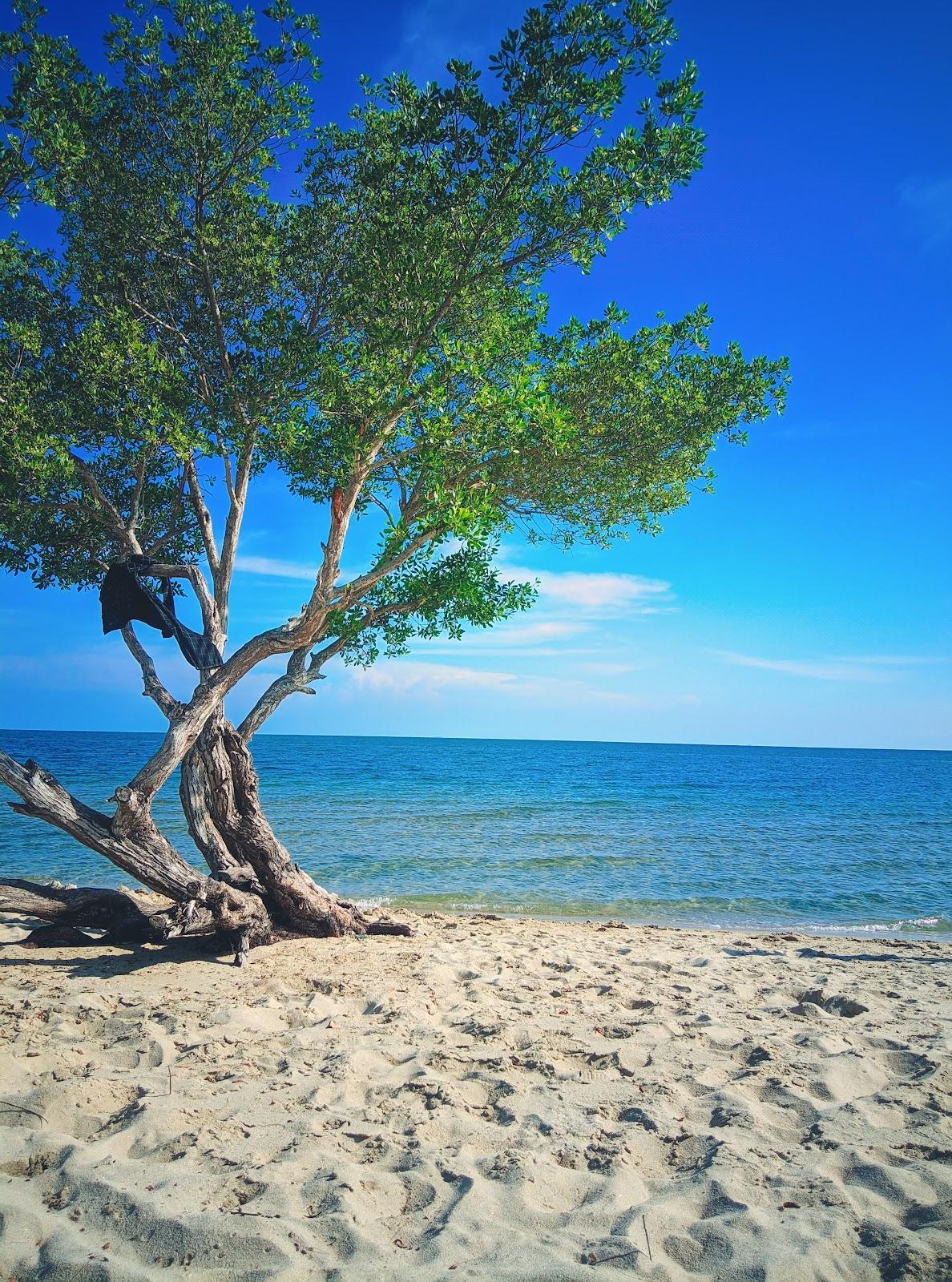 Sandee Wisata Pantai Pasir Putih Moian Photo