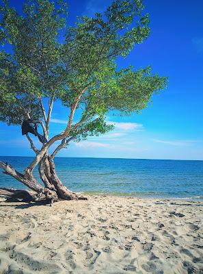 Sandee - Wisata Pantai Pasir Putih Moian