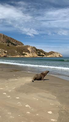 Sandee - Matanaka Beach