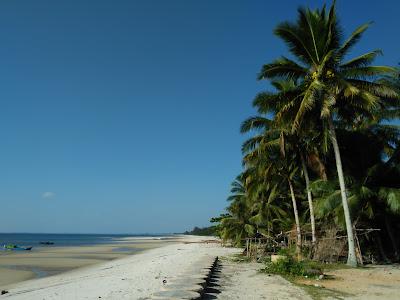 Sandee - Tungau Beach