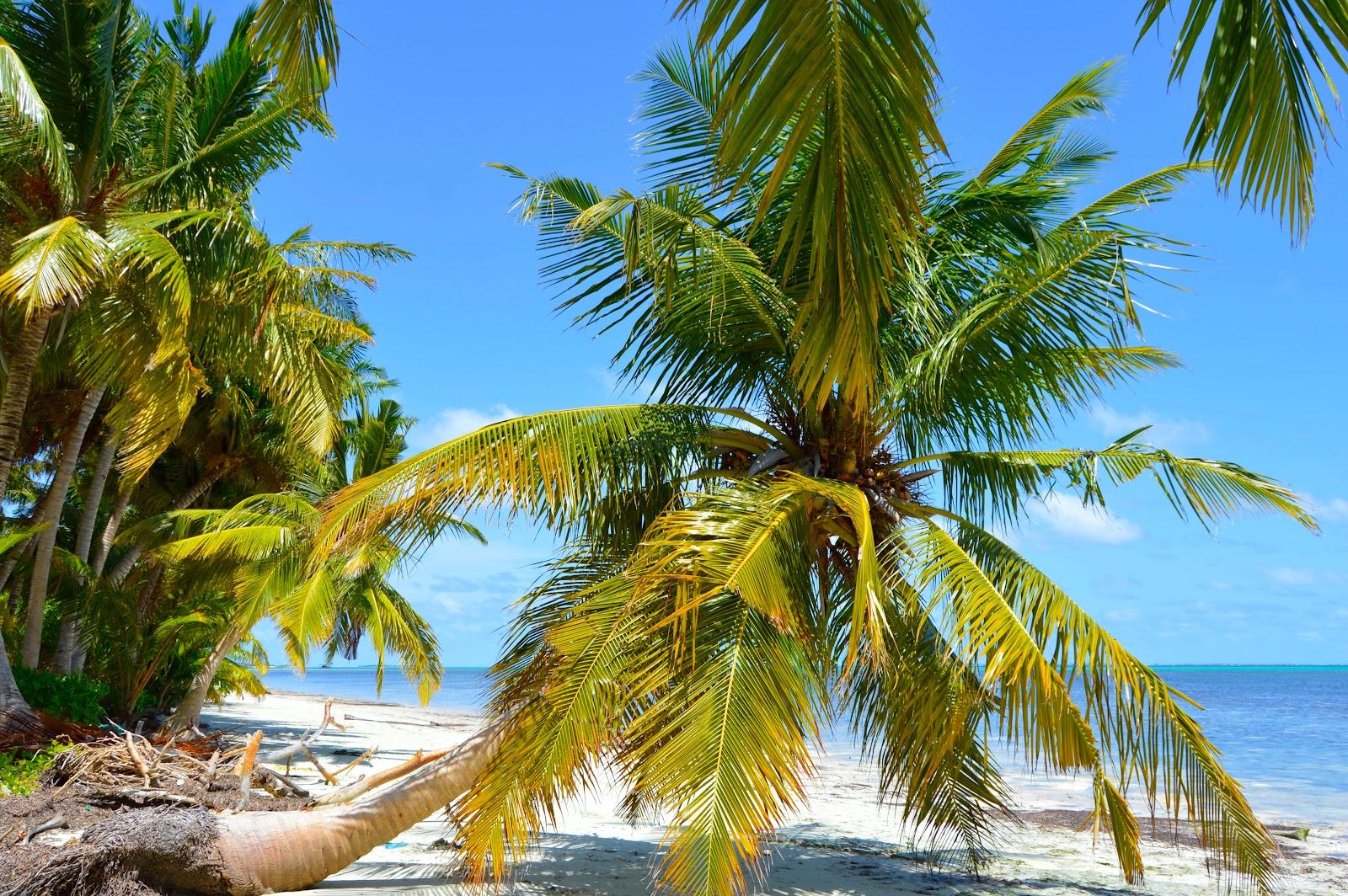 Sandee Meedhoo