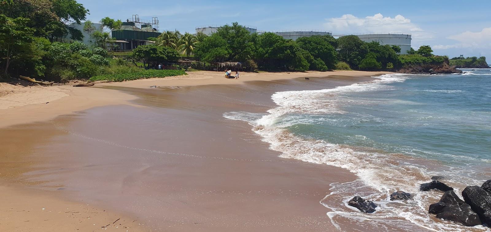 Sandee Flowers Beach