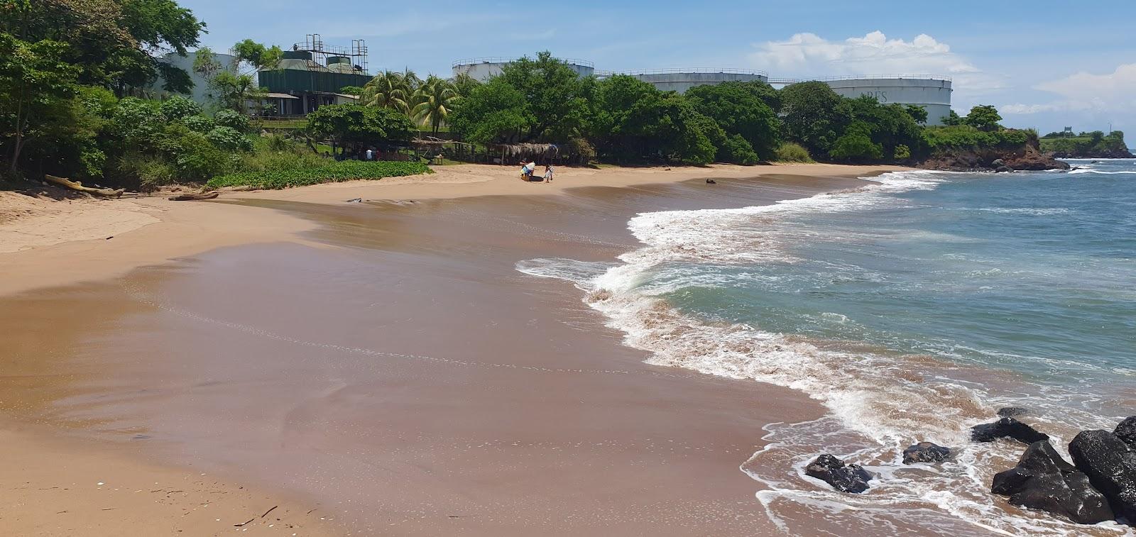 Sandee Flowers Beach Photo