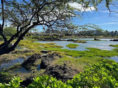 Sandee - Anaehoomalu Beach