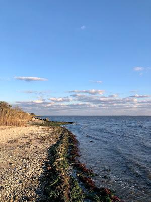 Sandee - Bellport Beach