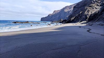 Sandee - Playa De Negrin