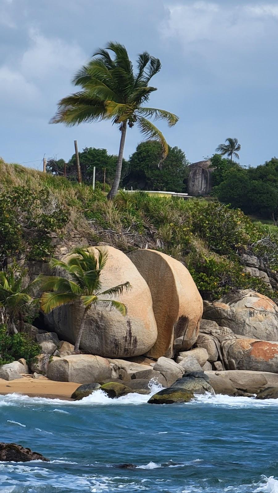 Sandee El Negro Beach Photo