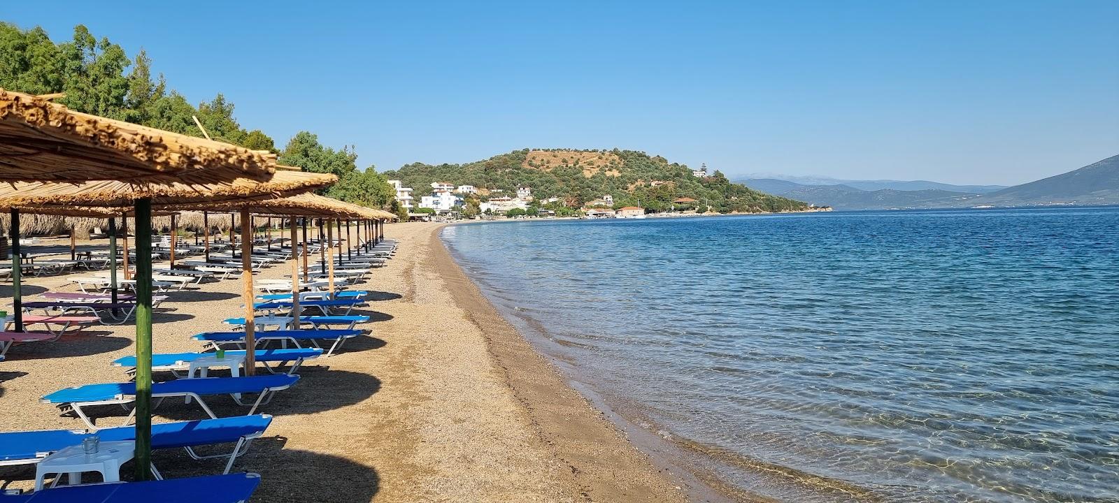 Sandee Neos Pirgos Harbor