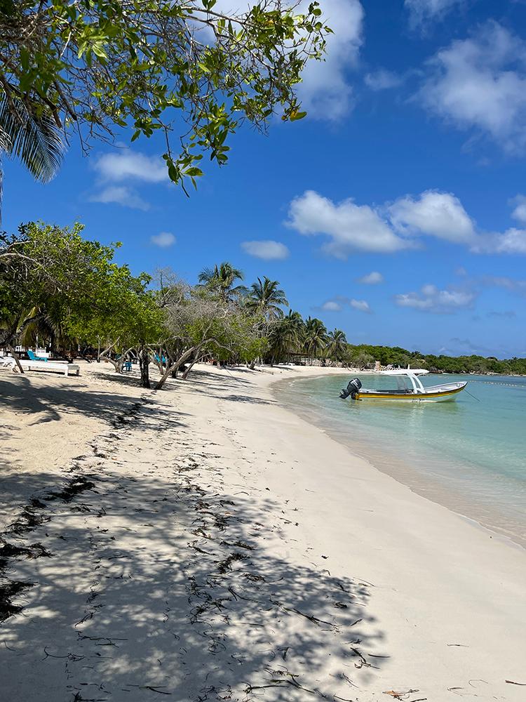 Sandee Agua Azul Beach Resort Photo