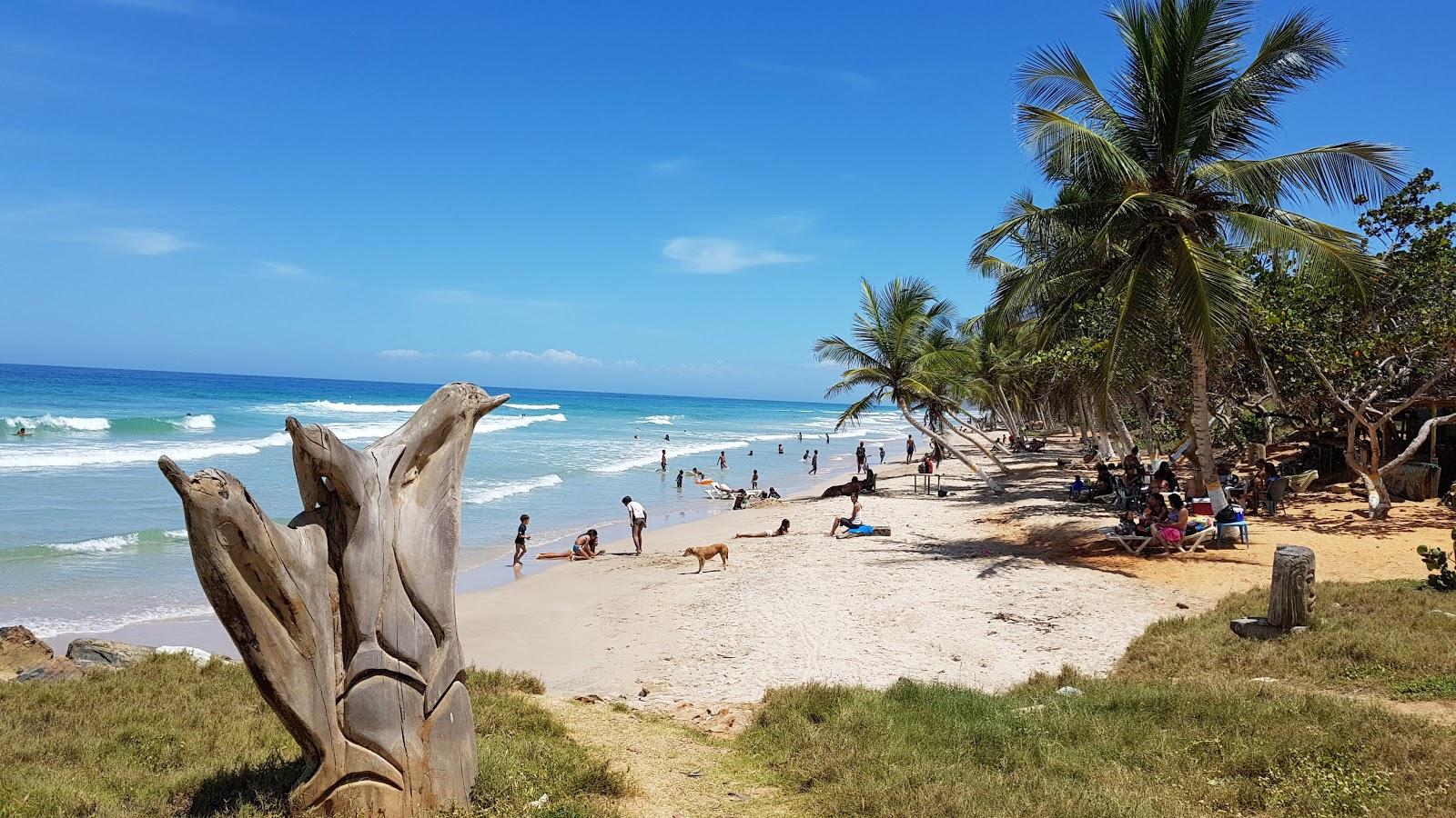 Sandee Playa Dolphin Beach