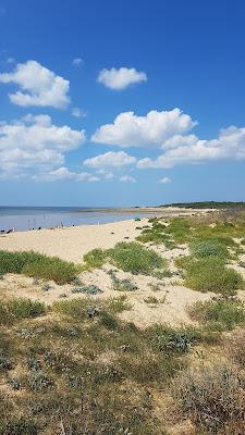 Sandee - Plage De Vert Bois