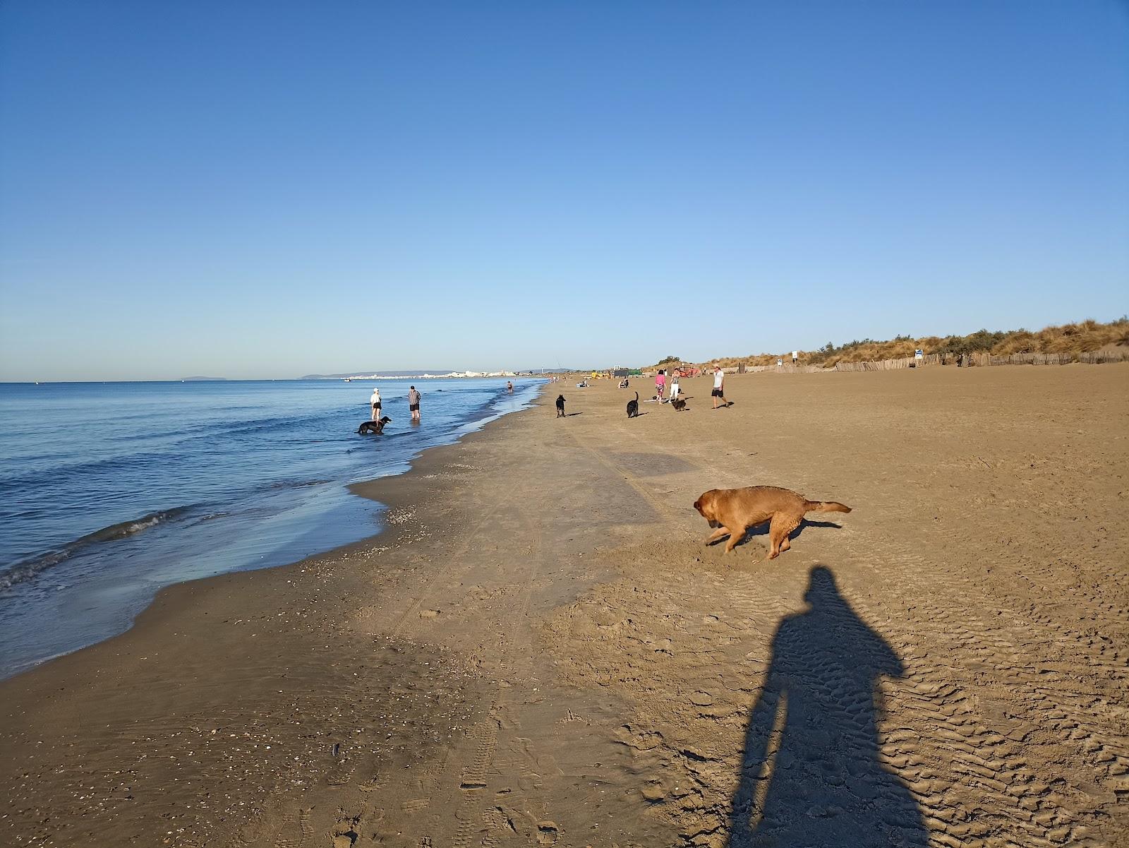 Sandee Dog Beach Le Grand Travers