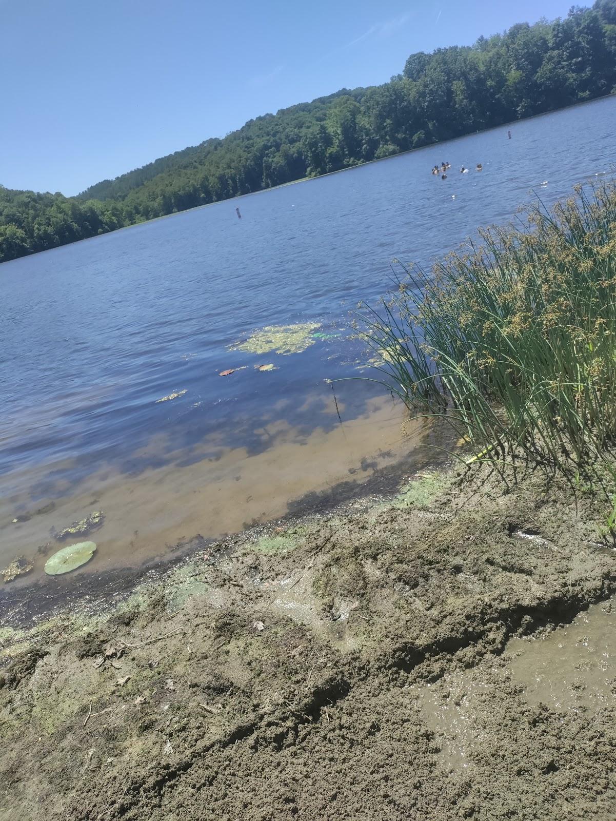 Sandee Lake Logan Beach