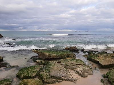 Sandee - Scaru Of Burns Beach